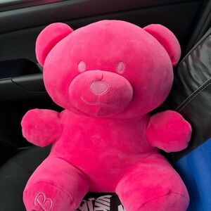 Pink Plush Care Bear